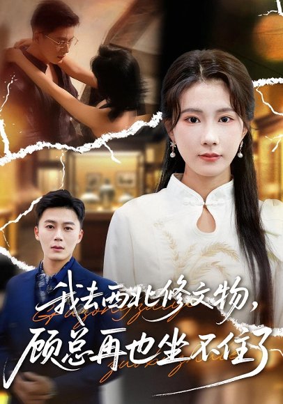 【我去西北修文物，顾总再也坐不住了（46集）曹嘉怡&戴金鳞】高清完整版