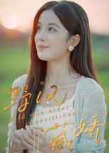 野汉藏娇（30集）陈梦玲 高清完整版